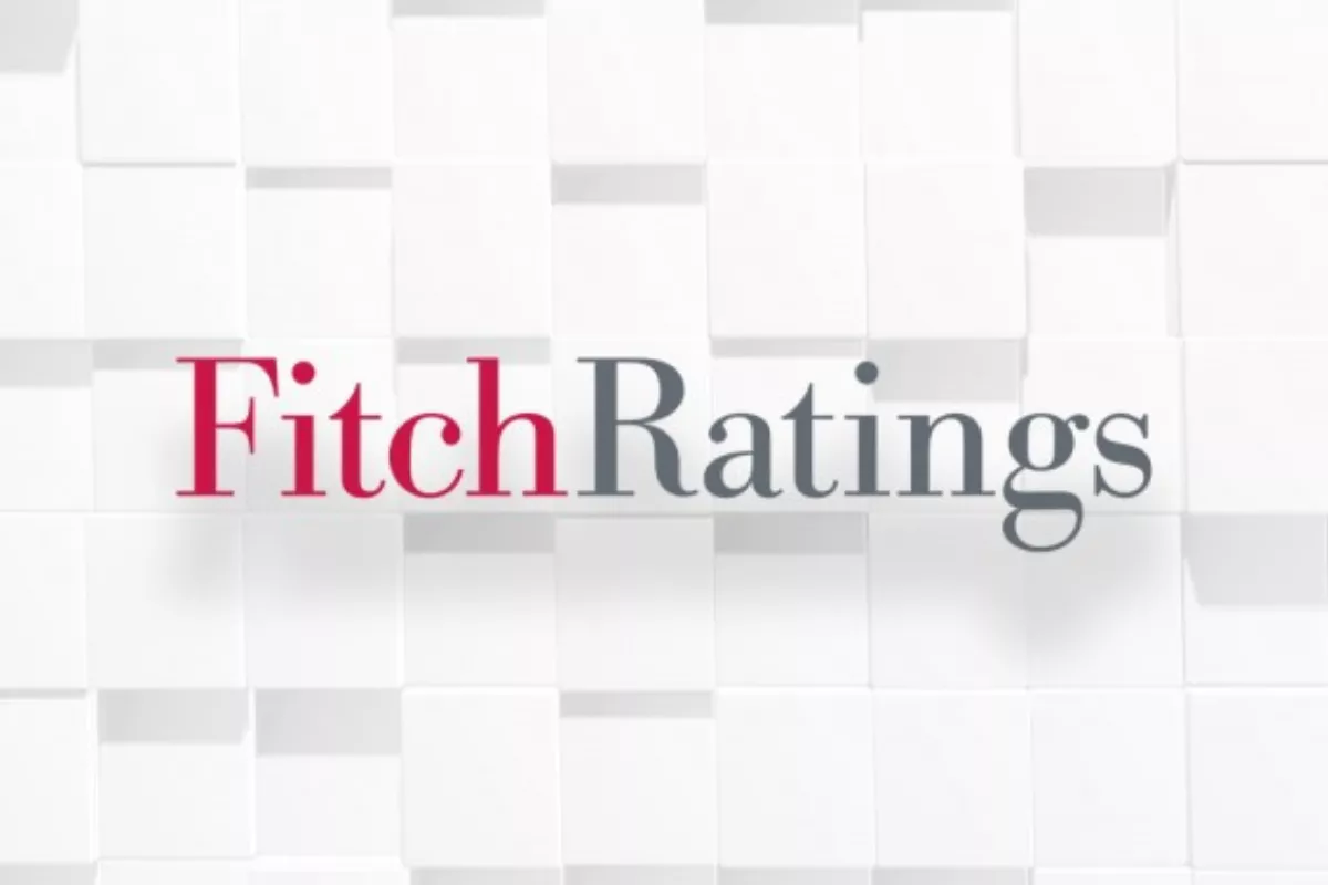 Fitch Cermati Risiko Kuasi Fiskal Danantara Dalam Rancangan APBN 2027
