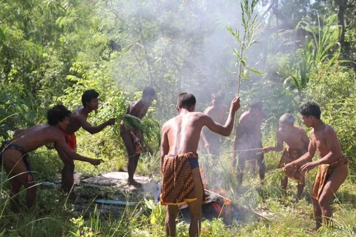 Orang Rimba Jambi Terganggu Konsesi Tambang Batu Bara