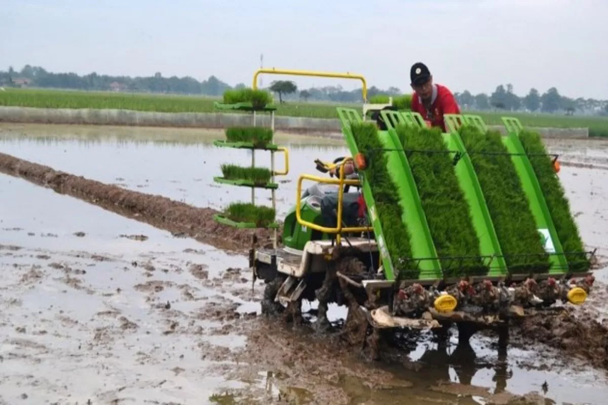 Inovasi Teknologi Pertanian Modern Indonesia Ubah Nasib Petani