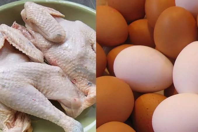 Kandungan Protein Ayam Ternyata Lebih Tinggi Dibandingkan Telur