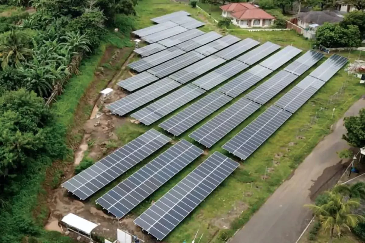 Sinergi PTBA dan Pertamina NRE Percepat Transisi Energi Lewat PLTS