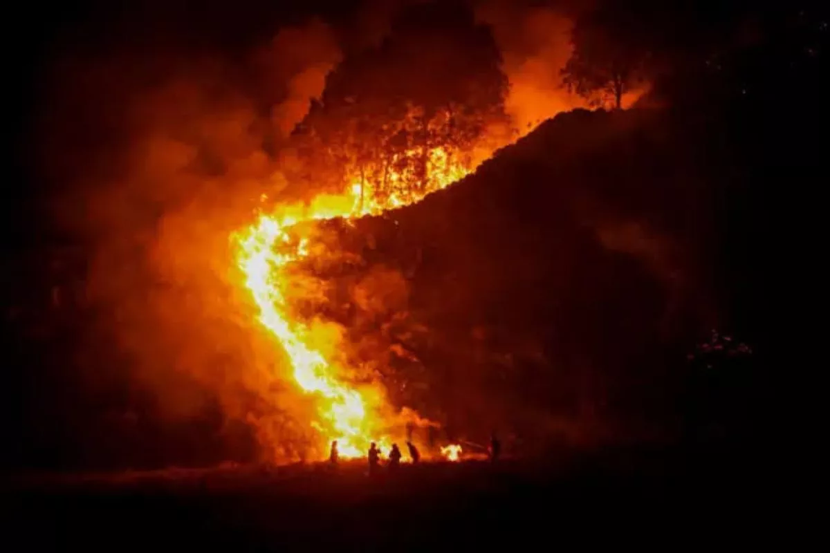 Karhutla Meluas ke Jatim dan Babel, Hektaran Lahan Terbakar