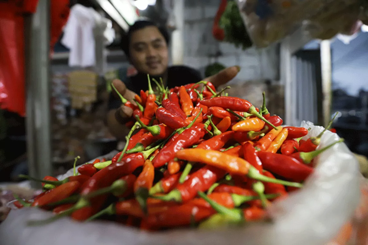 Harga Cabai Rawit Merah Capai Rp70.450 per Kg