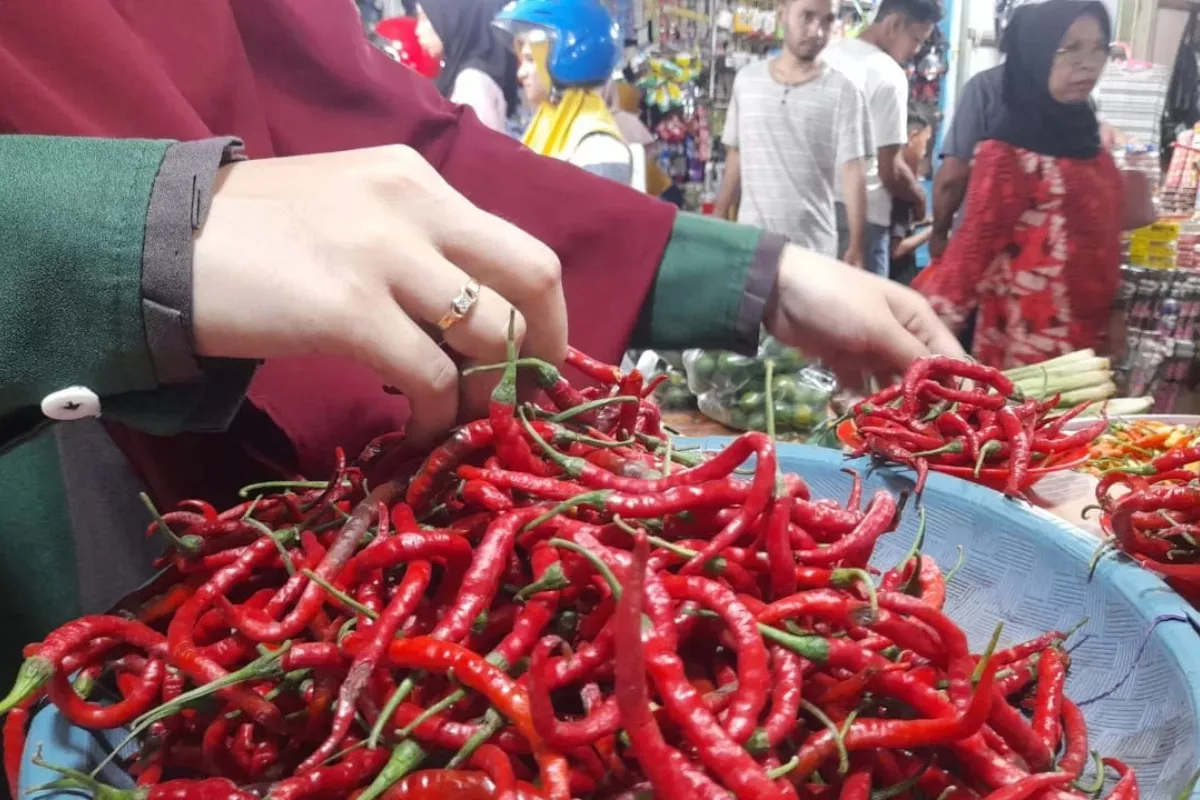 Update Harga Pangan Nasional: Cabai Rawit dan Bawang Merah Naik