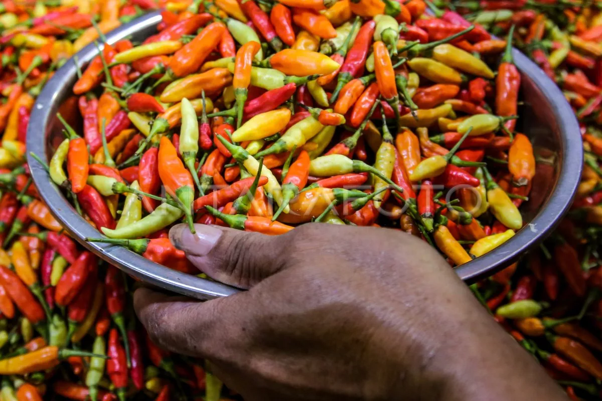 PIHPS: Harga Cabai Rawit Merah Tembus Rp100.000 per Kg Hari Ini