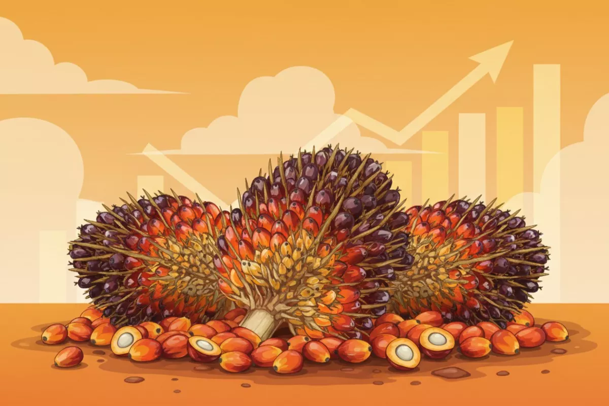Harga CPO Melonjak Sekitar 1 Persen Menuju Level 4.550 Ringgit