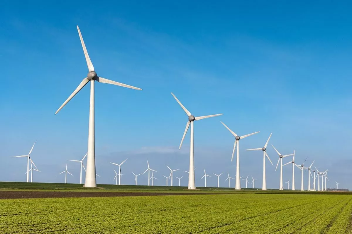 Menilik Potensi Energi yang Tertahan di Kebun Sawit Indonesia