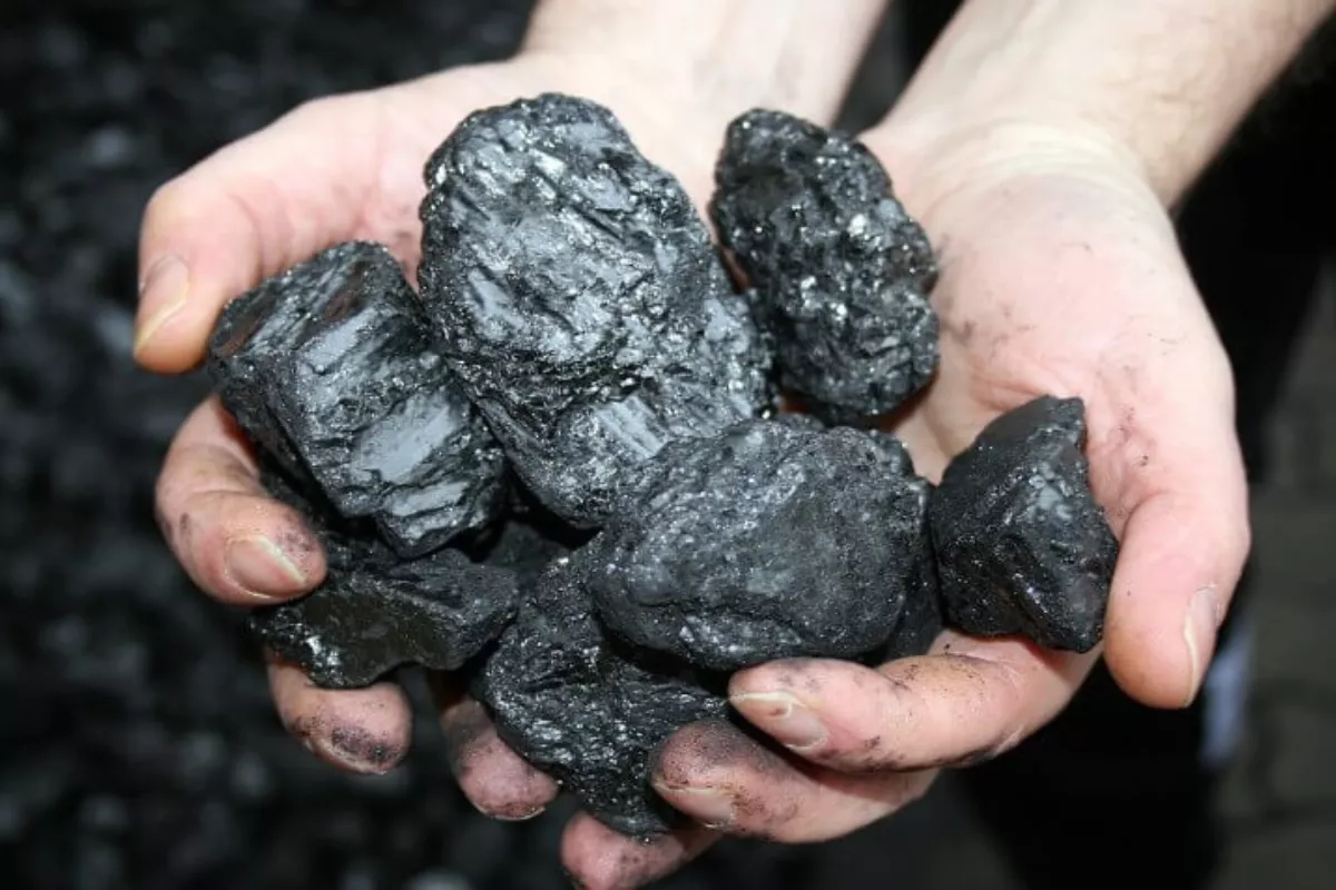 Harga Batu Bara Turun 1,45 Persen Meski Harga Minyak Dunia Menguat