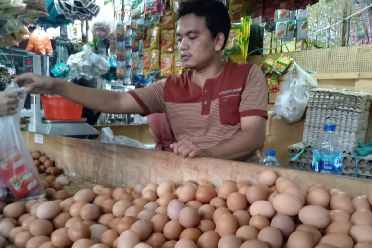 Update Harga Pangan: Telur Ayam Rp29.750, Bawang Merah Rp50.950/Kg