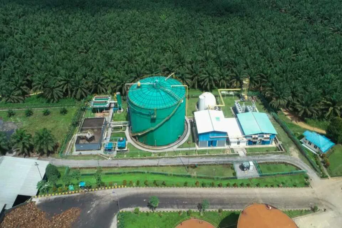 SSMS Tebar Dividen Rp 800 Miliar, Ini Jadwal dan Yield 6,04 Persen