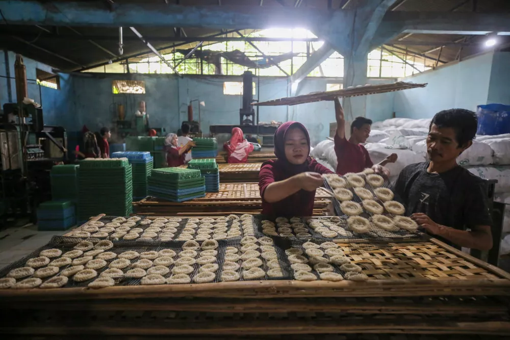 PP 20/2026, UMKM Omzet Rp4,8 Miliar Nikmati PPh Final 0,5%