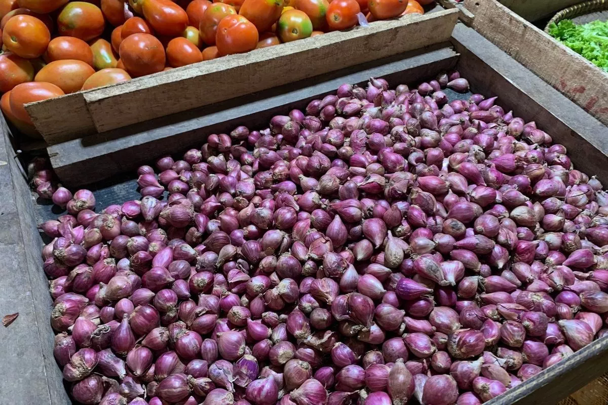 Update Harga Pangan: Bawang Merah Rp49.900/Kg, dan Cabai RpRp67.750
