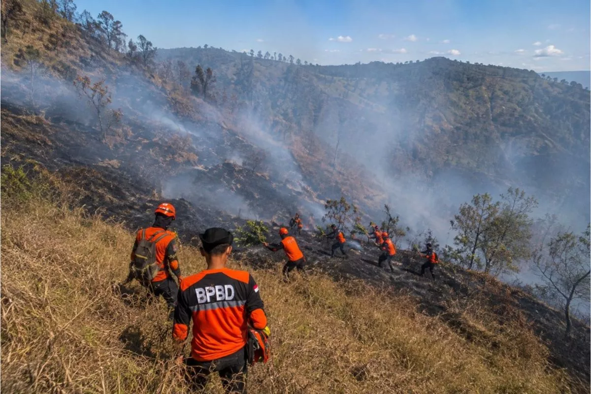 Antisipasi Karhutla Imbas El Nino, Pemerintah Kerahkan Upaya Maksimal