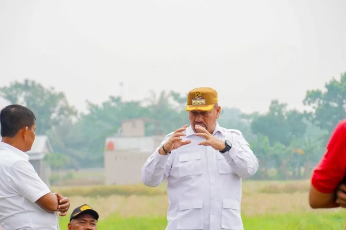 Respons Cepat Bupati Batu Bara Tinjau Irigasi Rusak di Sei Muka