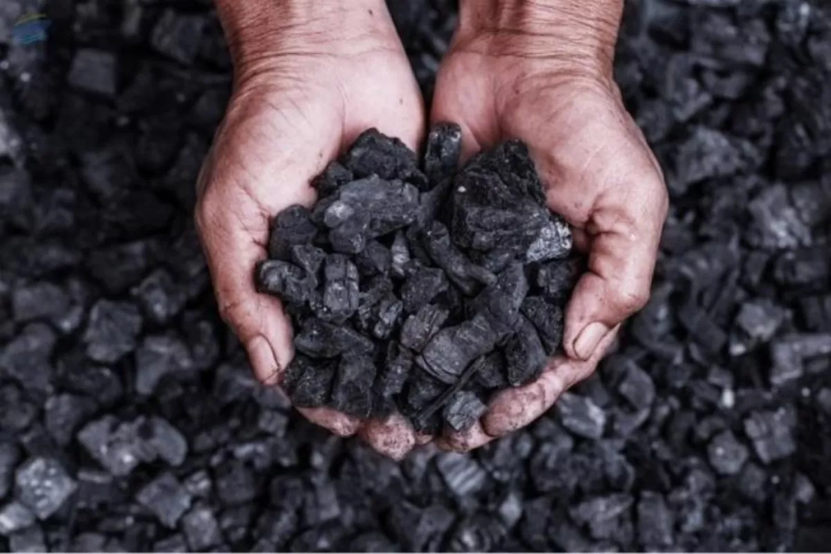 Melejit 7 Persen Lebih, Harga Batu Bara Dunia Dekati US$150 per Ton