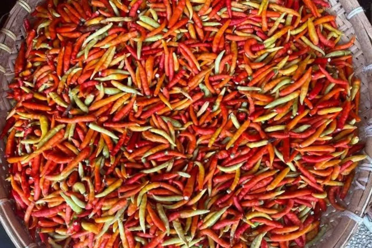 Daftar Harga Pangan Nasional: Cabai Rawit Merah Rp47.500 per Kg