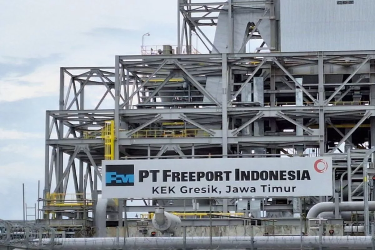 Kembangkan Tambang Kucing Liar Freeport Kucurkan Dana Rp71,2 Triliun