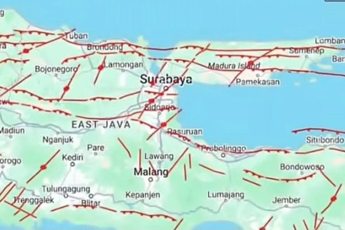 BMKG Temukan Sesar Aktif di Surabaya, Berpotensi Gempa M 6,7