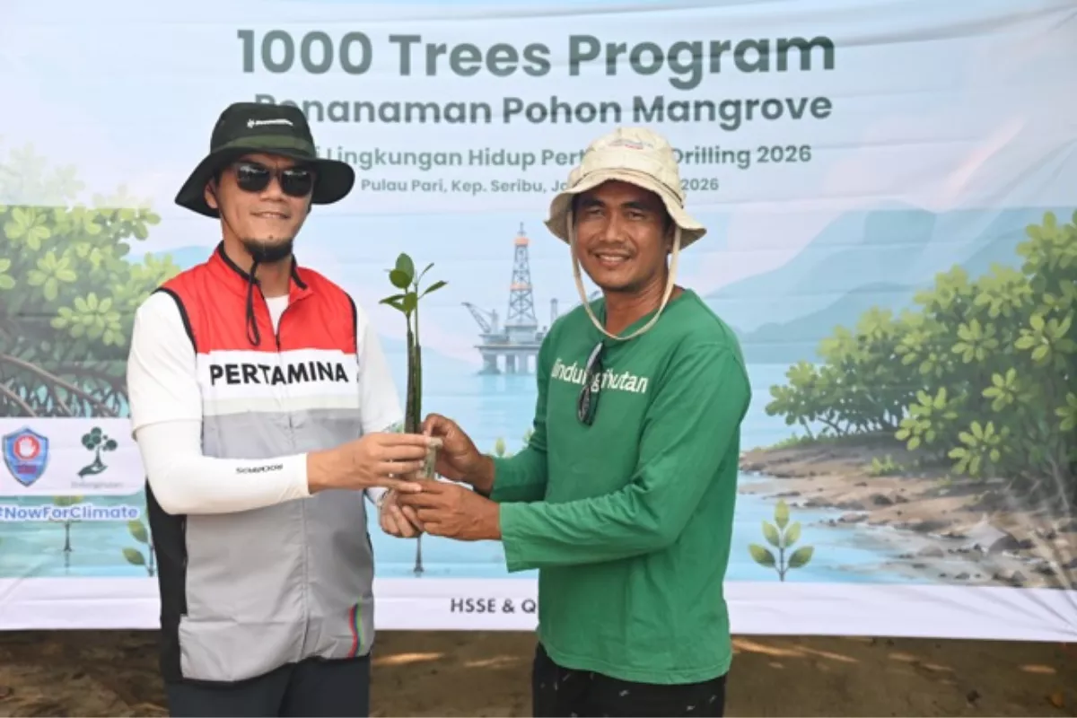 Pertamina Drilling Tanam 800 Mangrove, Perkuat Aksi Kurangi Emisi