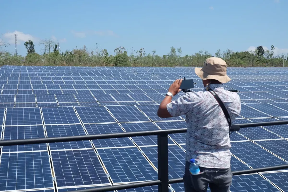 Transisi Energi Dinilai Lambat, WALHI Desak KLH dan ESDM Bertindak
