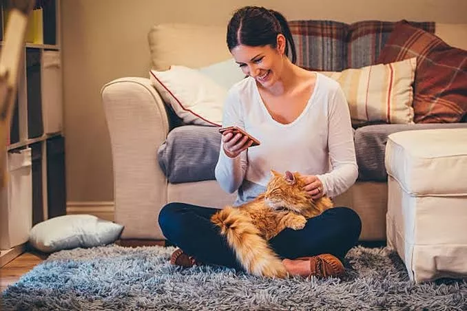 Kucing Suka Memijat Pemilik Apakah Tanda Sayang Ini Penjelasannya