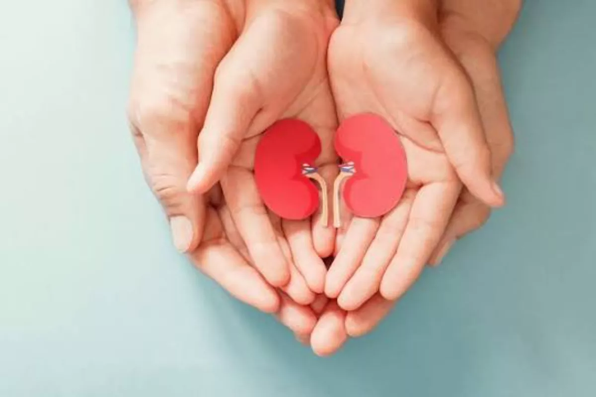 Cara Menjaga Kesehatan Ginjal Bagi Anak Muda
