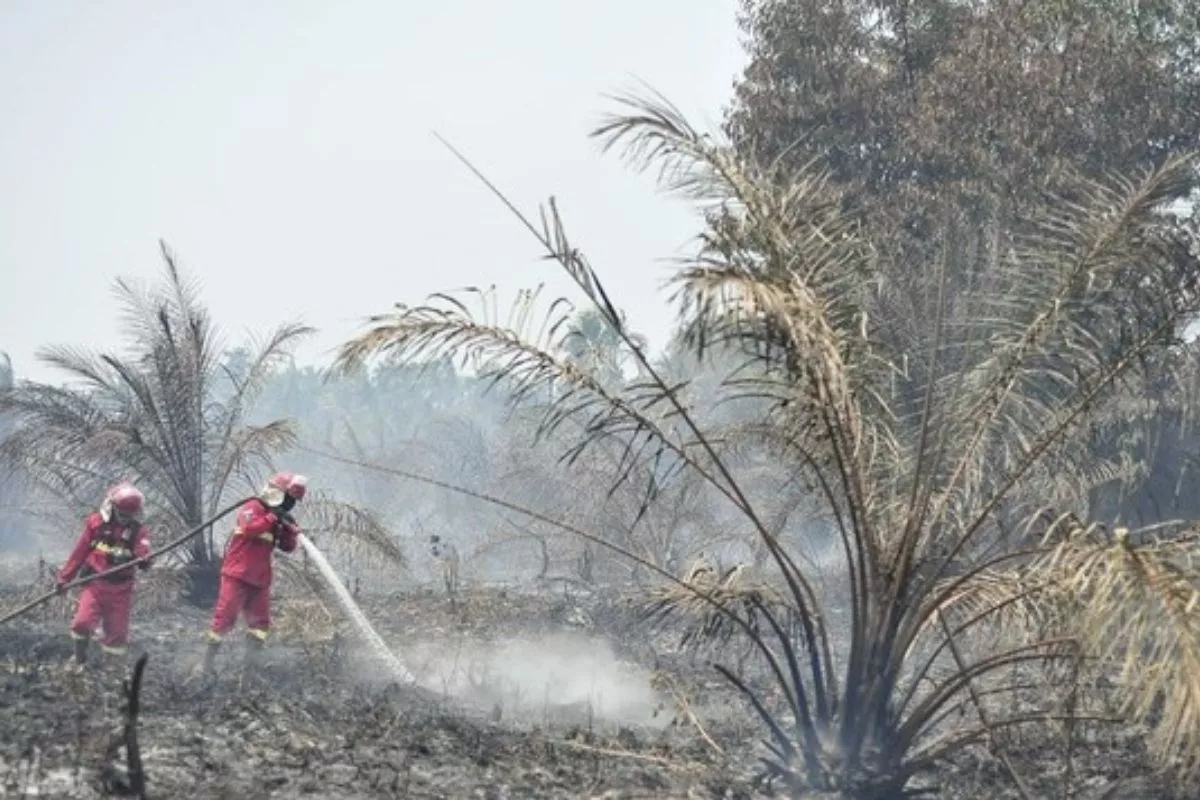 Cegah Kabut Asap Lintas Negara, KLH Pastikan Penanganan Karhutla