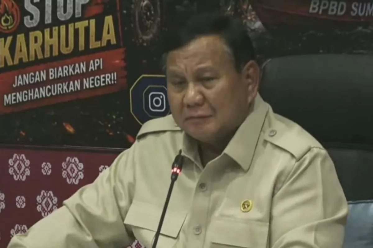 Presiden Dorong Tepung Singkong Jadi Bahan Pemadam Karhutla