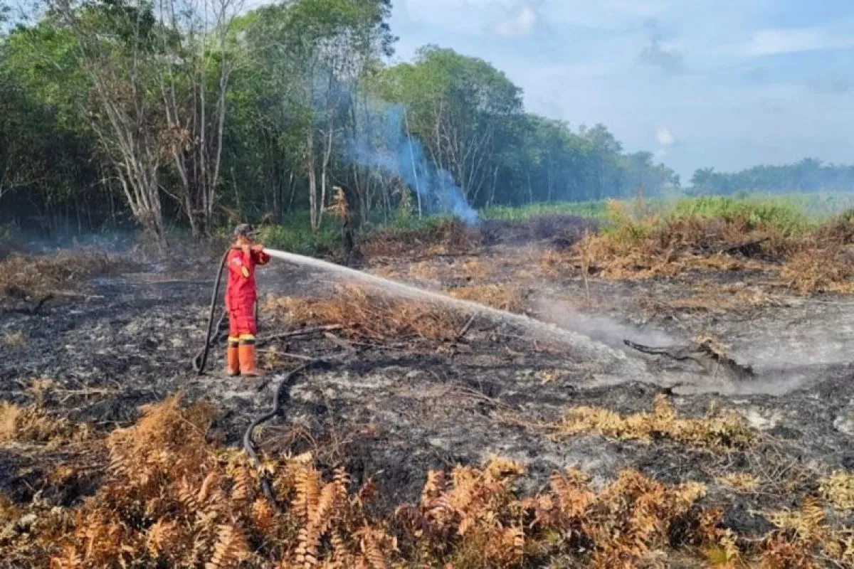 Karhutla di Kalimantan, Kemenkes Kirim Masker dan Oksigen