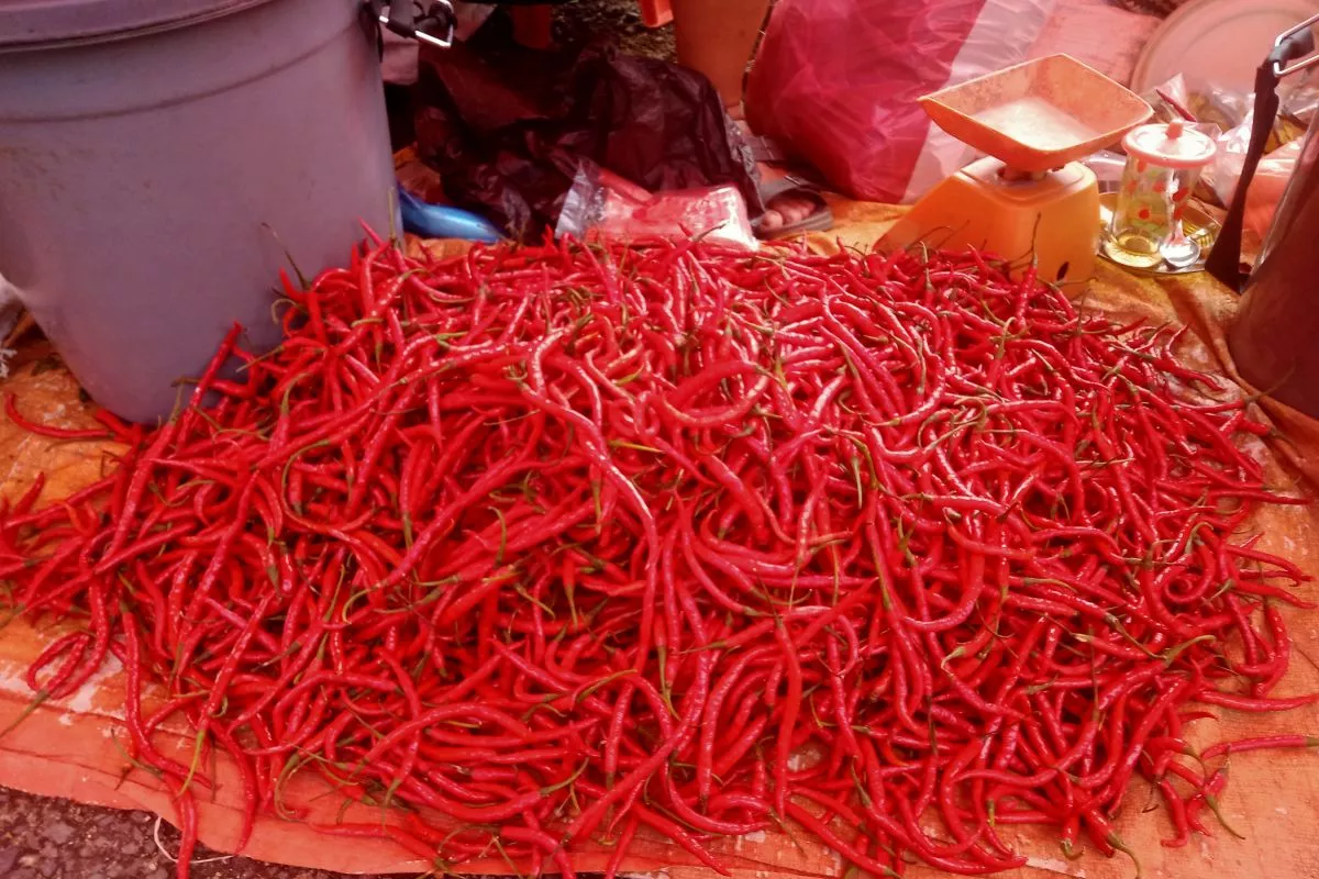 Rincian Tarif Bahan Pangan Terkini Cabai Rawit Merah Tembus Rp 60 Ribu