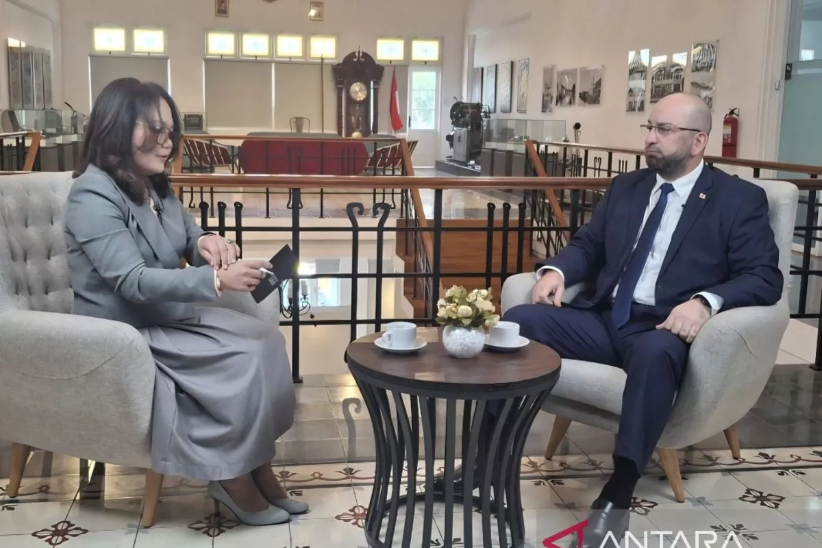 Peran Strategis Georgia Amankan Pasokan Energi Global