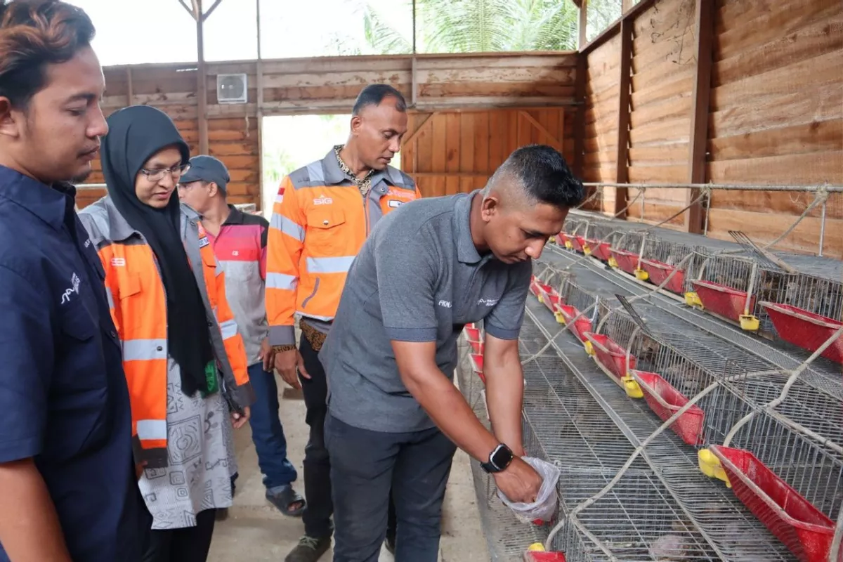 SIG Olah Sampah Kelapa Jadi Pakan Ternak untuk Tekan Emisi