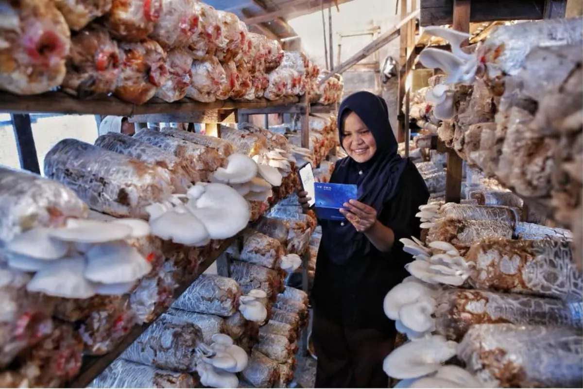 Indeks Bisnis UMKM BRI Triwulan II 2026