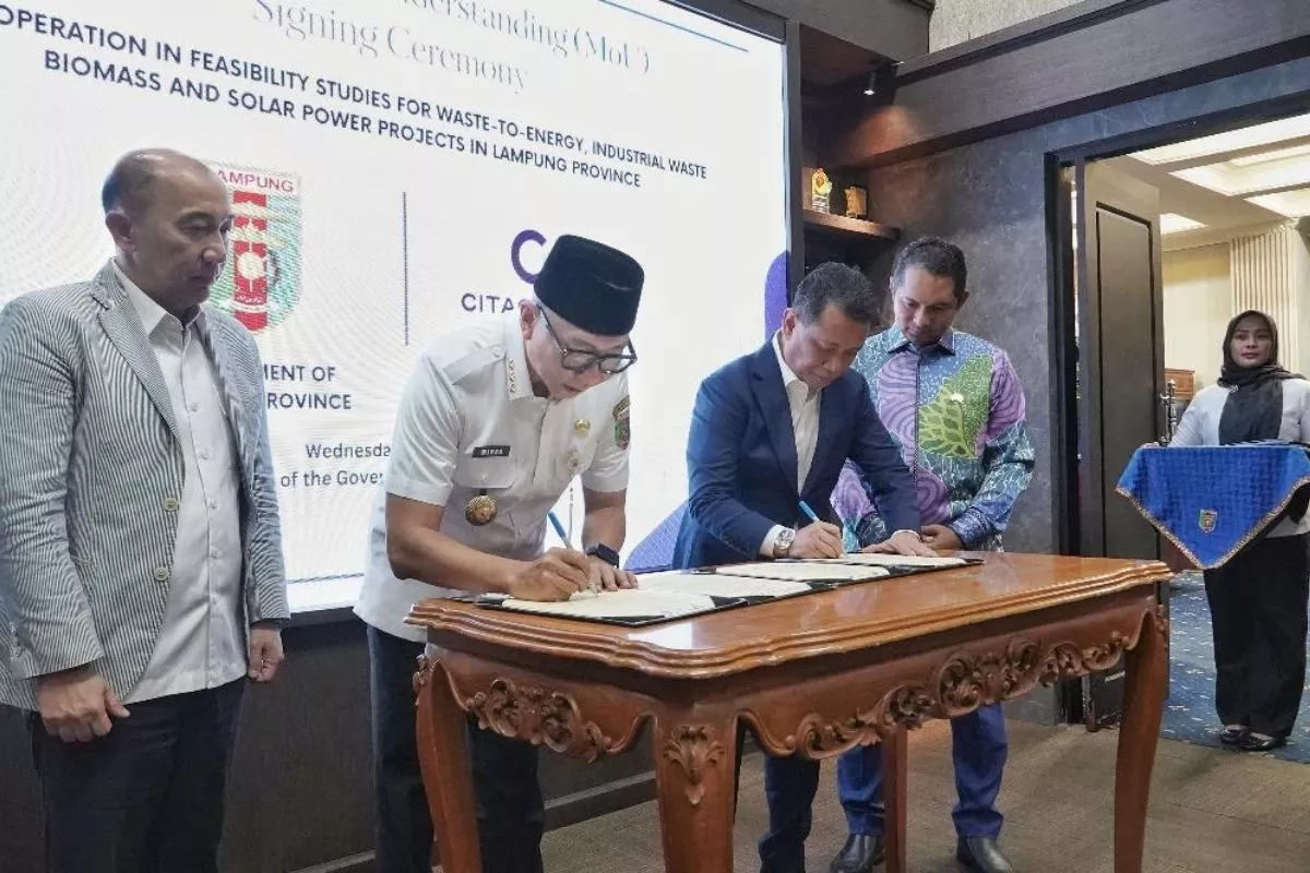 Lampung Bidik Investasi Energi Hijau dan Rehabilitasi Mangrove