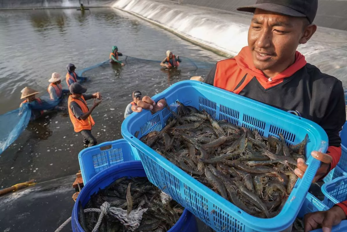 Emiten Seafood ISEA Bidik Kenaikan Omzet 30 Persen di 2026