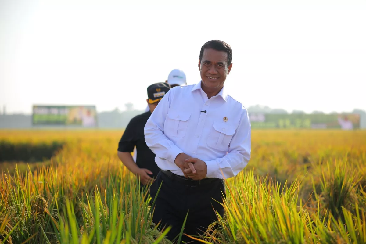 Mentan: Metode Pertanian Modern Naikkan Pendapatan Petani