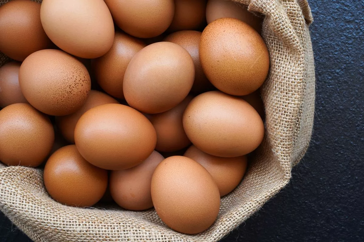 Kepala Bapanas Kawal Ketat HAP Telur Ayam Lindungi Peternak