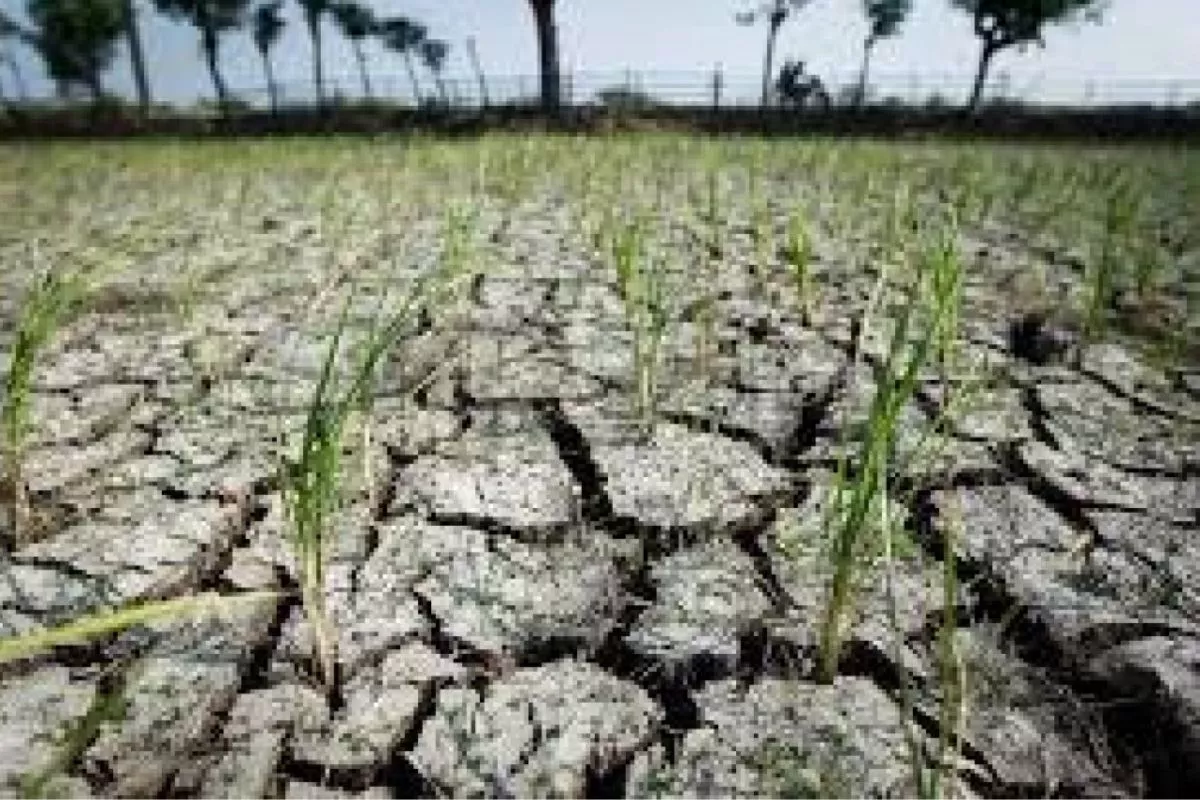 Puncak El Nino Juli-Agustus, Pemprov Banten Perkuat Mitigasi