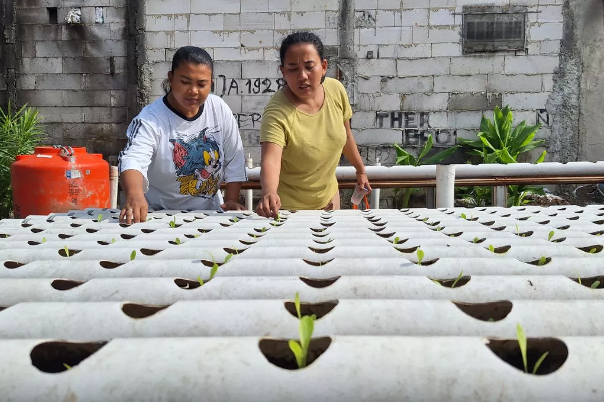 Kisah Wasriah, Pemulung di Klender yang Punya Dana Darurat dari Sampah