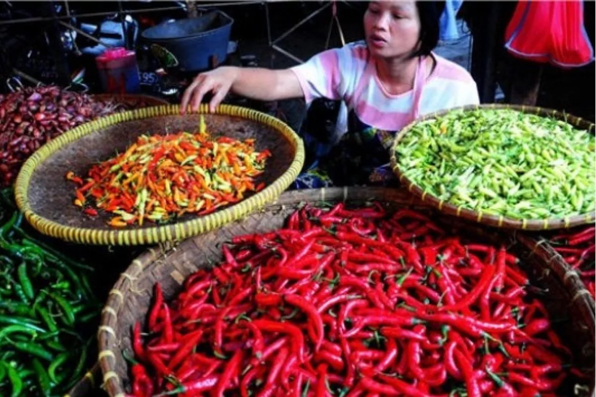Pantauan PIHPS: Harga Cabai Rawit Tembus Rp64.100 per Kilogram