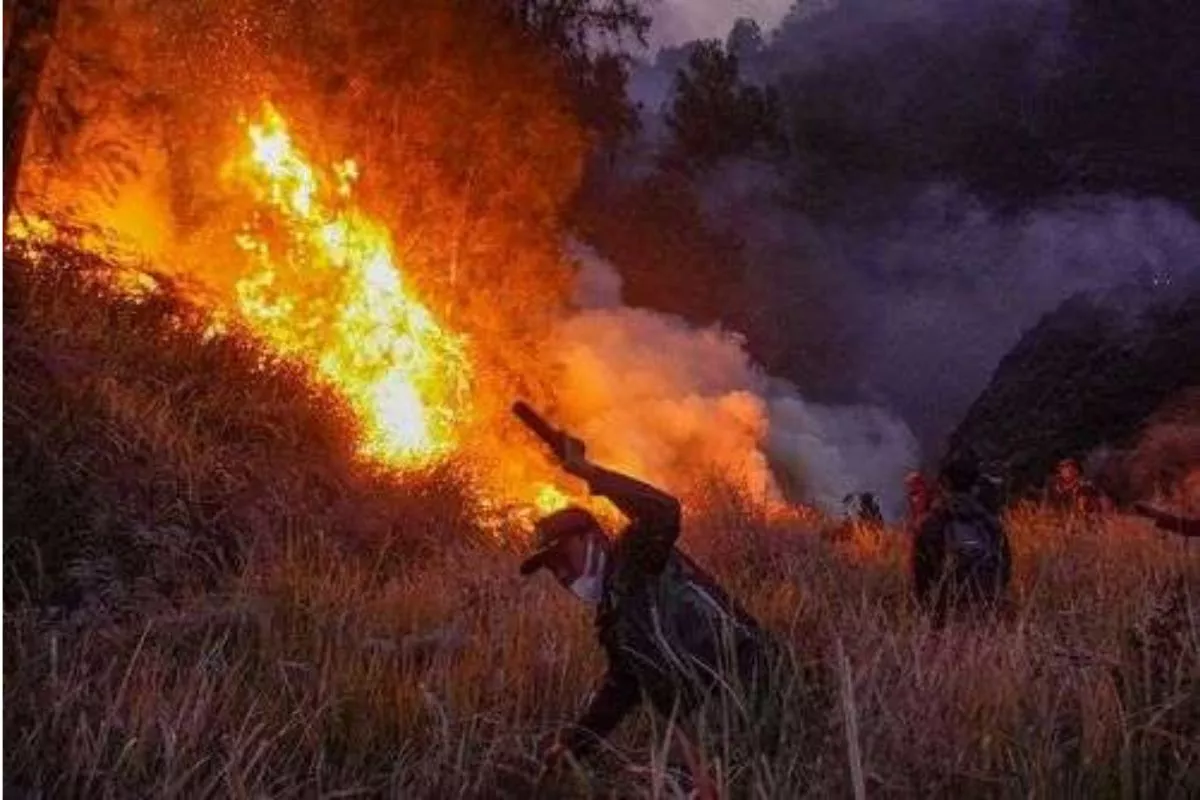 Eskalasi Karhutla Jadi Acuan Penutupan Akses Taman Nasional