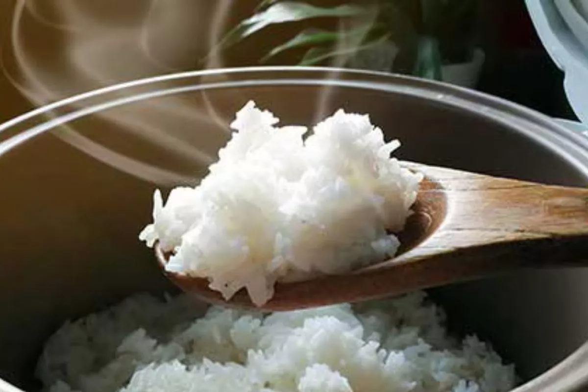 Cukup Tambahkan Jeruk Nipis, Ini Tips Agar Nasi Tidak Cepat Basi