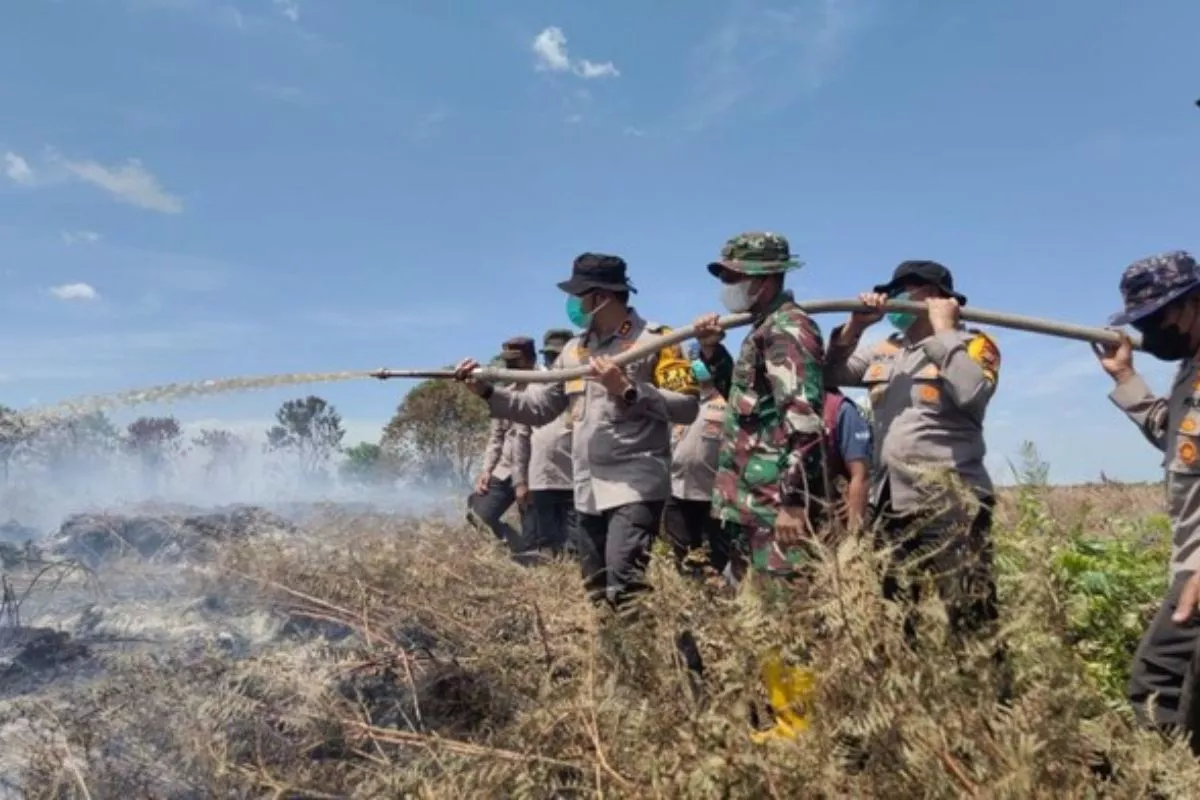 Atasi Karhutla Riau, Presiden Pastikan Terjunkan Tim Freefall