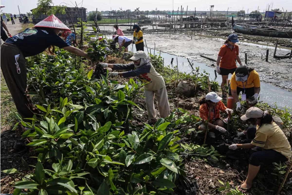 Indonesia Siap Rilis Sistem Registri Karbon pada 9 Juli