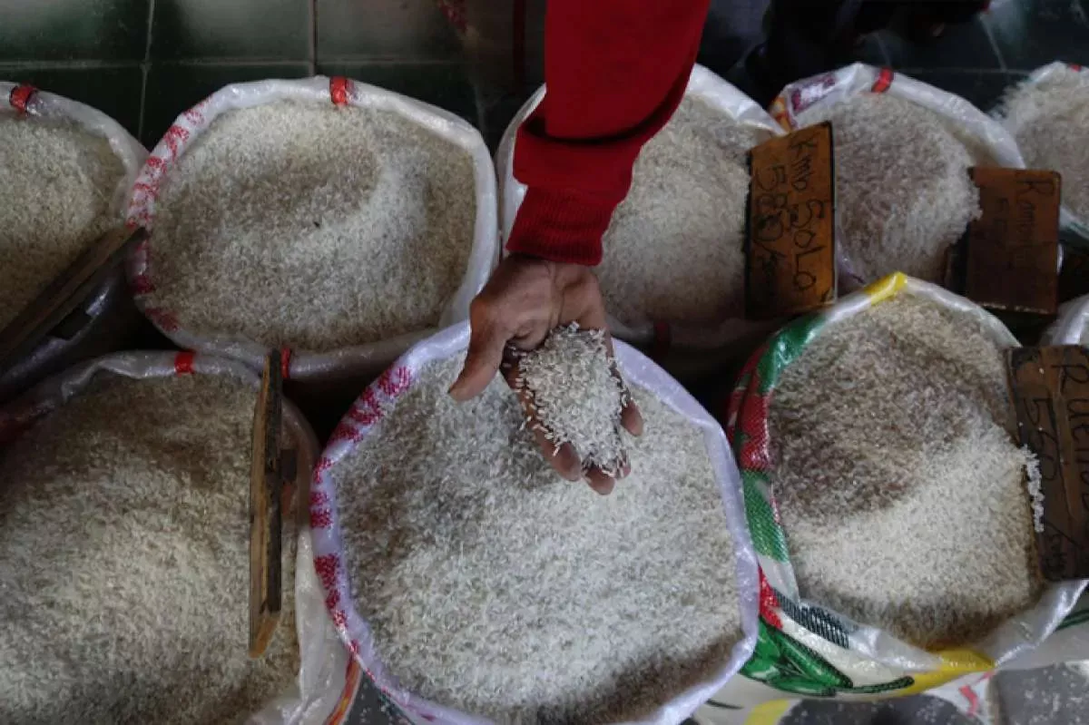 Harga Beras Terbaru Mulai dari SPHP Rp12.100 sampai Premium Rp16.000