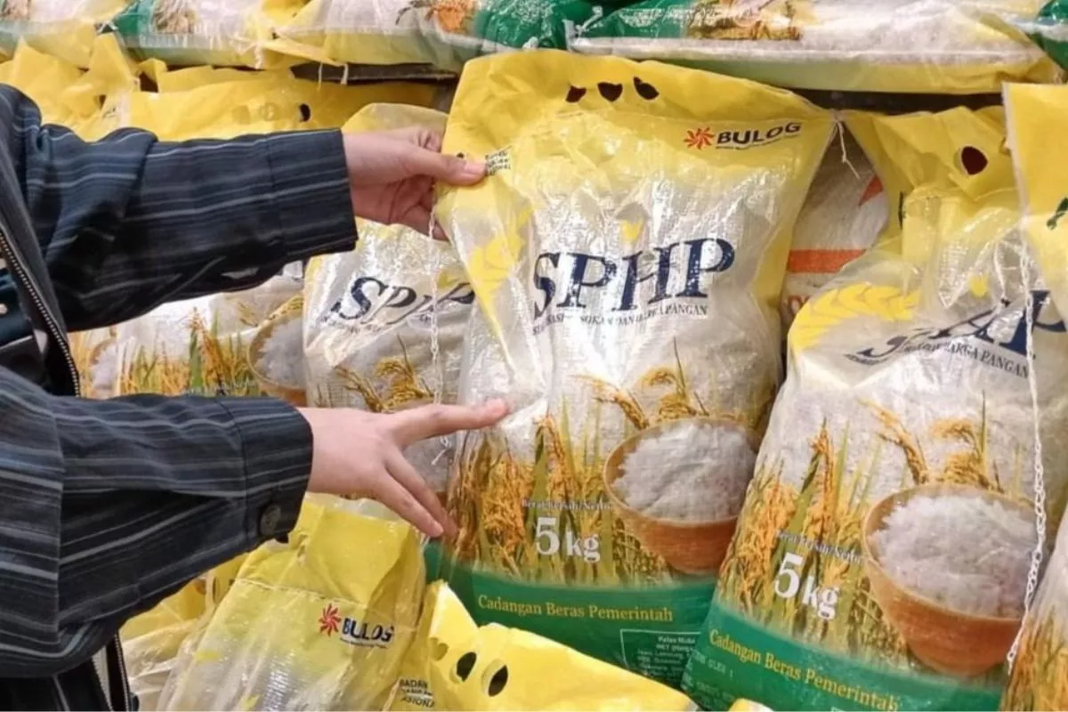 Harga Beras Medium Naik 4 Bulan, Premium Sejak Maret
