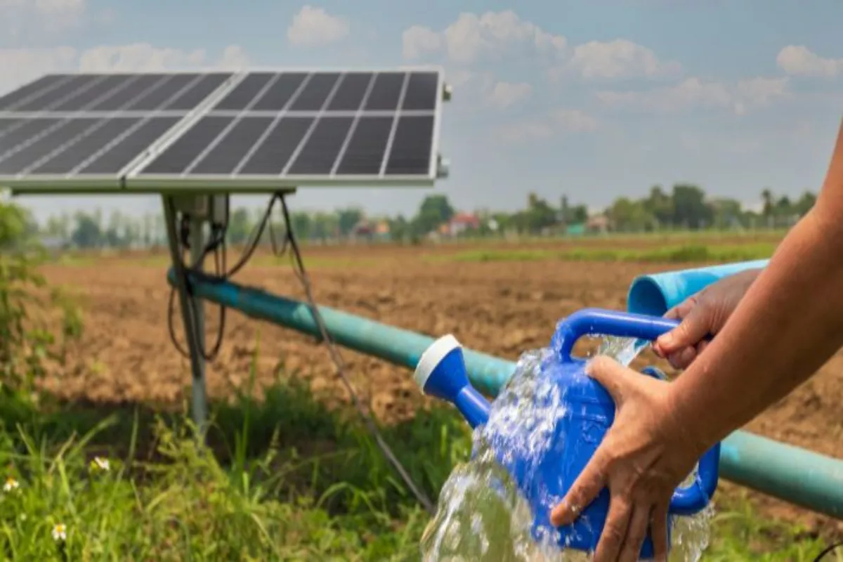 PLN Kenalkan Manfaat Energi Bersih Lewat Program PLN Goes to School