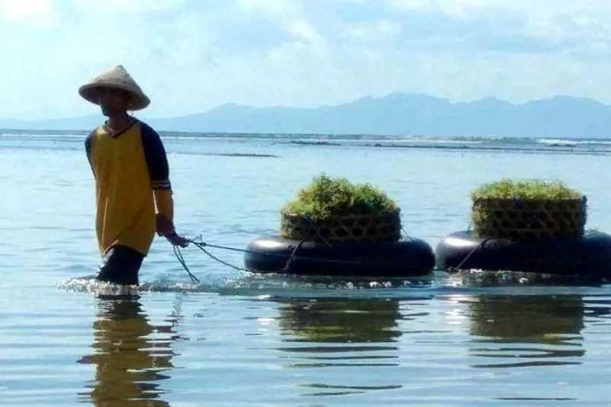 Emiten AGAR Siapkan Langkah Taktis Hadapi Disrupsi Logistik Global