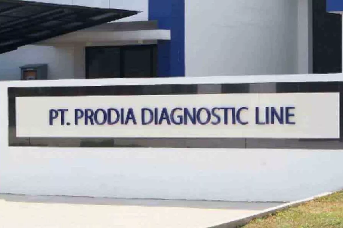 Arahan Andi Wijaya Bikin IPO Saham PRDL Dikebut 6 Bulan