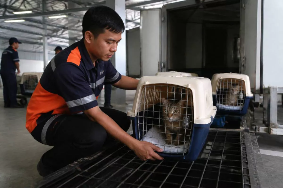 Volume Pengiriman Hewan Peliharaan KAI Logistik Naik 21 Persen